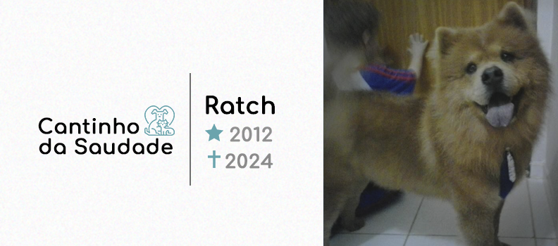 Ratch ★2012 ✟2024